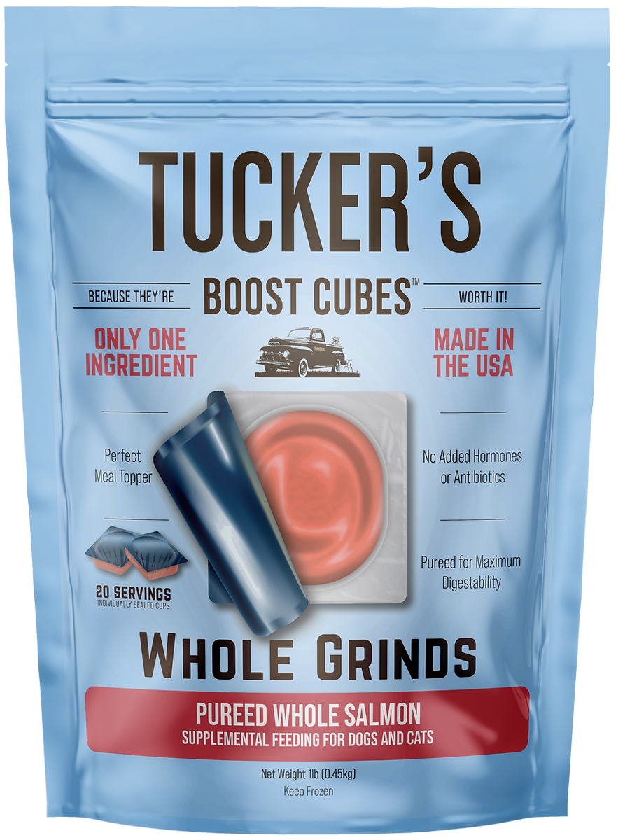 TUCKERS FROZEN BOOST-Cube SALMON GRINDS 1 LB.