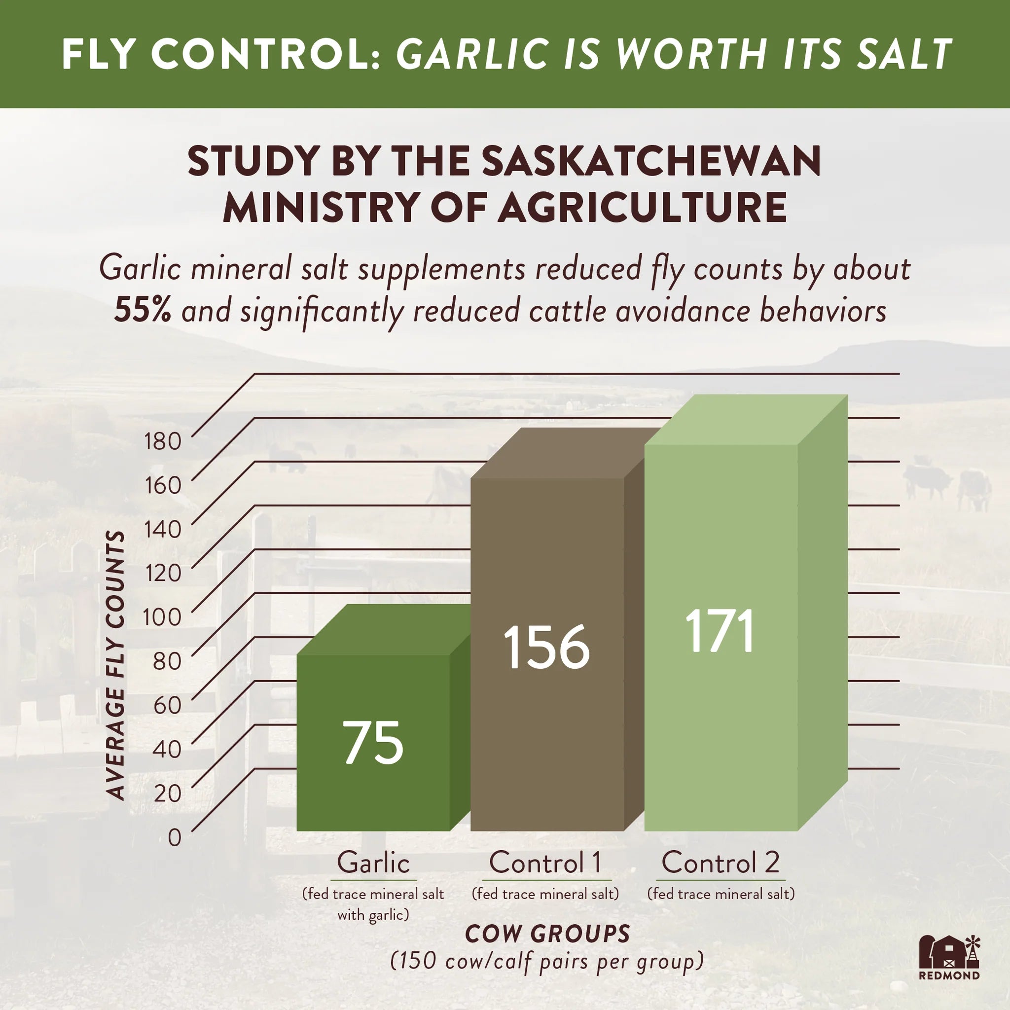 REDMOND SALT #10 garlic 50 lb