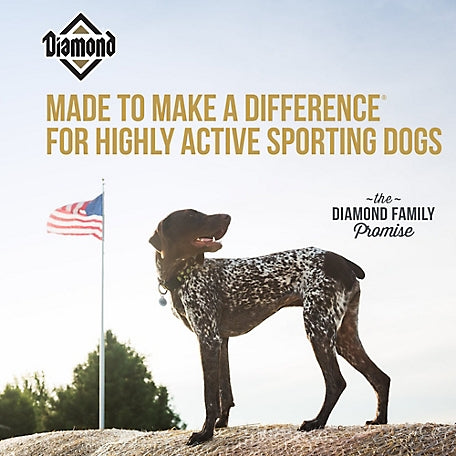 DI Hi-Energy Sporting Dog 50