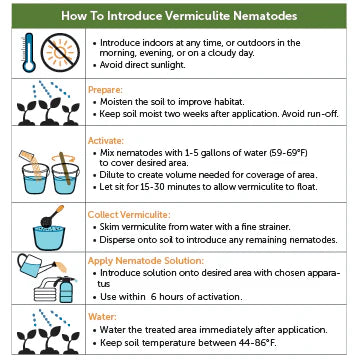 NEMATODESGRUB 10M