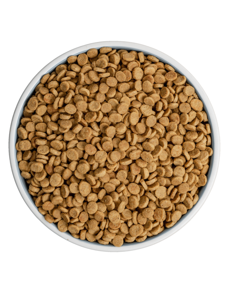 Bixbi Rawbble Dog Kibble | Turkey 24 lb