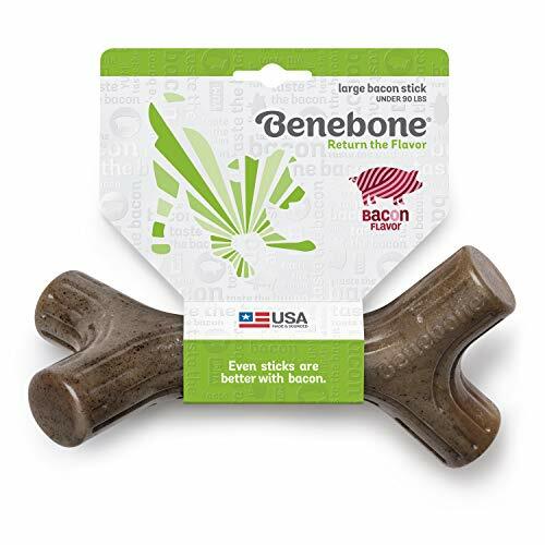 Benebone BCN Stick LG