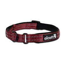 Collar Alcott MCLR ES LG RD