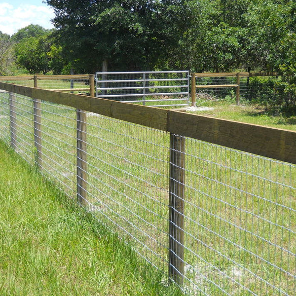 Horse no deals climb fence