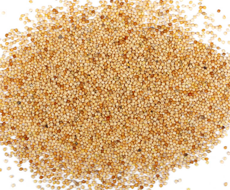 White Millet                50